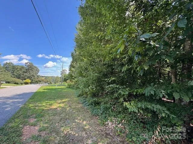 a view of a yard with an tree