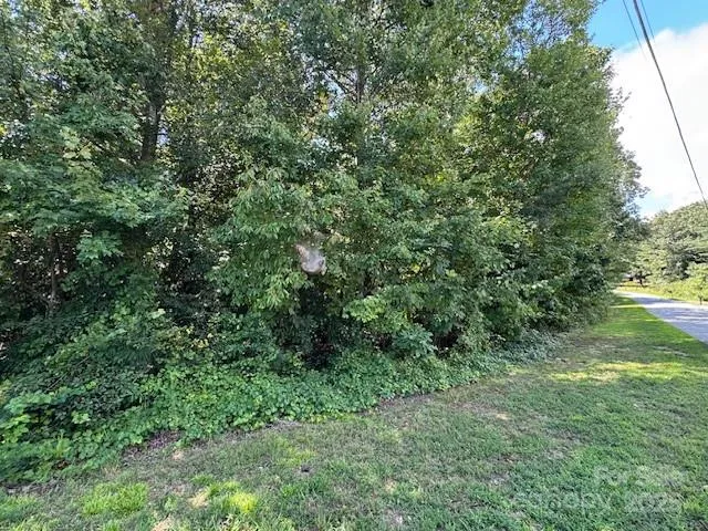 a view of a lush green space