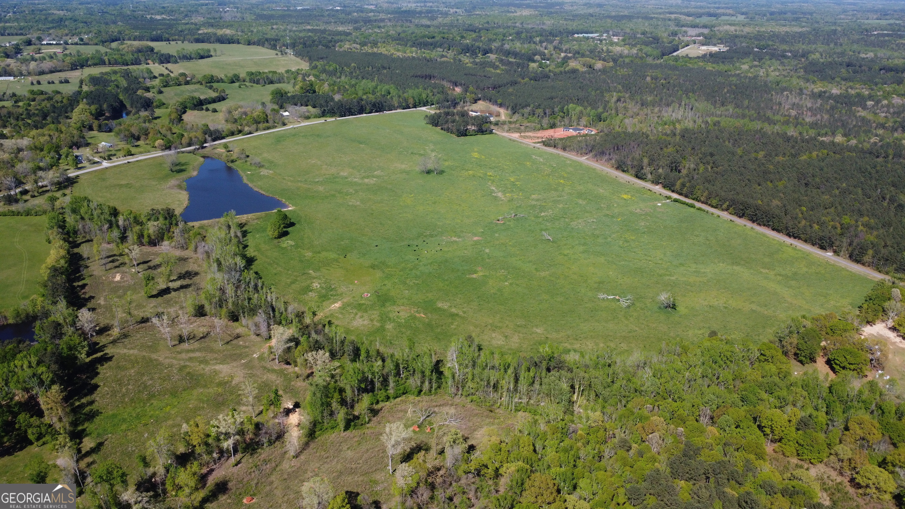 1993 Highway 16 Jackson, GA 30233 - Photo 2 of 11 a view of lake view and yard
