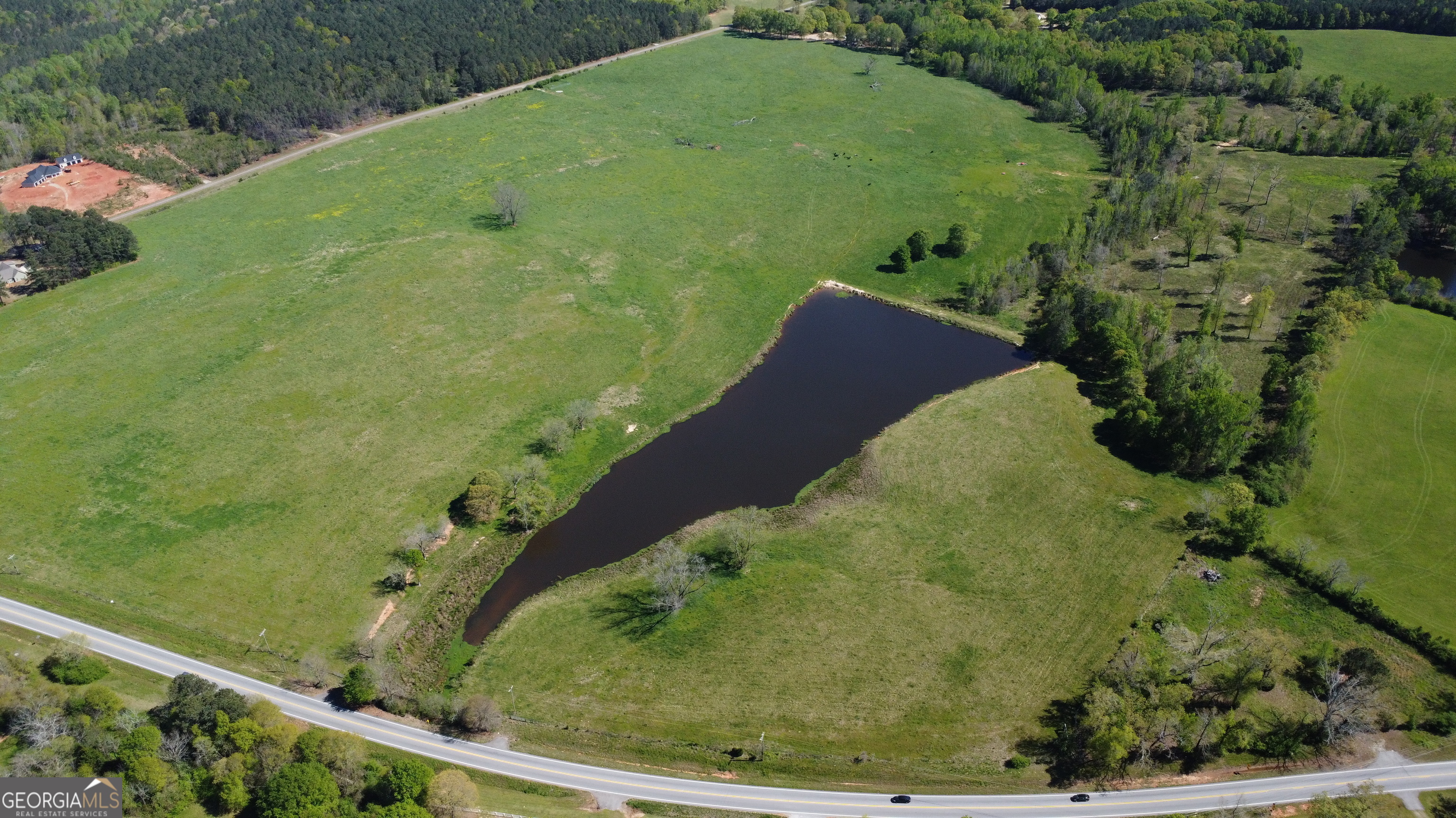 1993 Highway 16 Jackson, GA 30233 - Photo 3 of 11 a view of a garden from a balcony