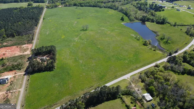 a view of a green yard with large trees