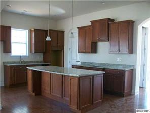 1717 Ridgehaven Road Waxhaw, NC 28173 - Photo 5 of 16 a kitchen with stainless steel appliances granite countertop a sink and a stove