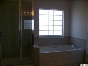 1717 Ridgehaven Road Waxhaw, NC 28173 - Photo 7 of 16 a bathroom with a bathtub and a window