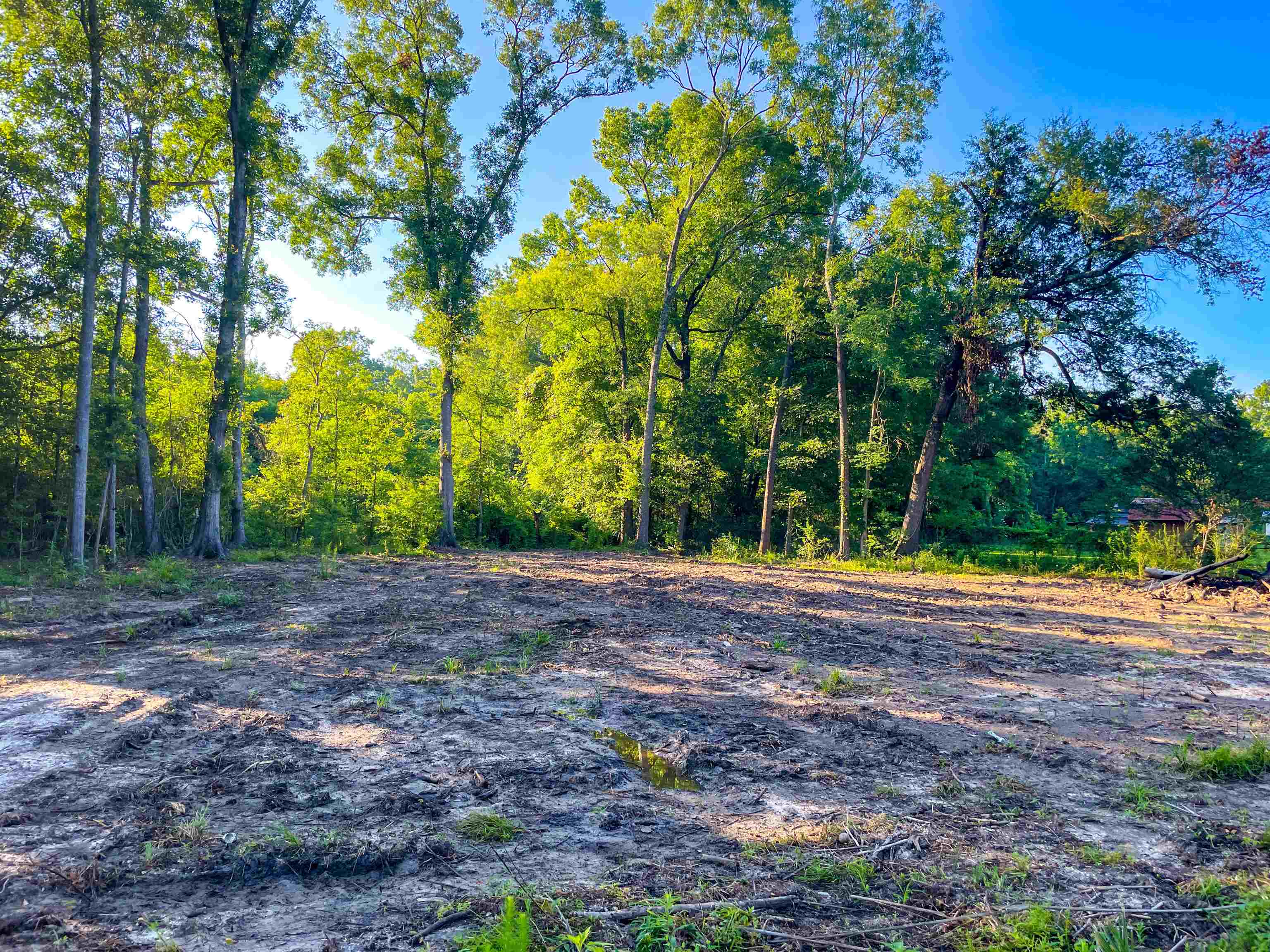 4030 Barnhill Road Vidor, TX 77662 - Photo 3 of 4