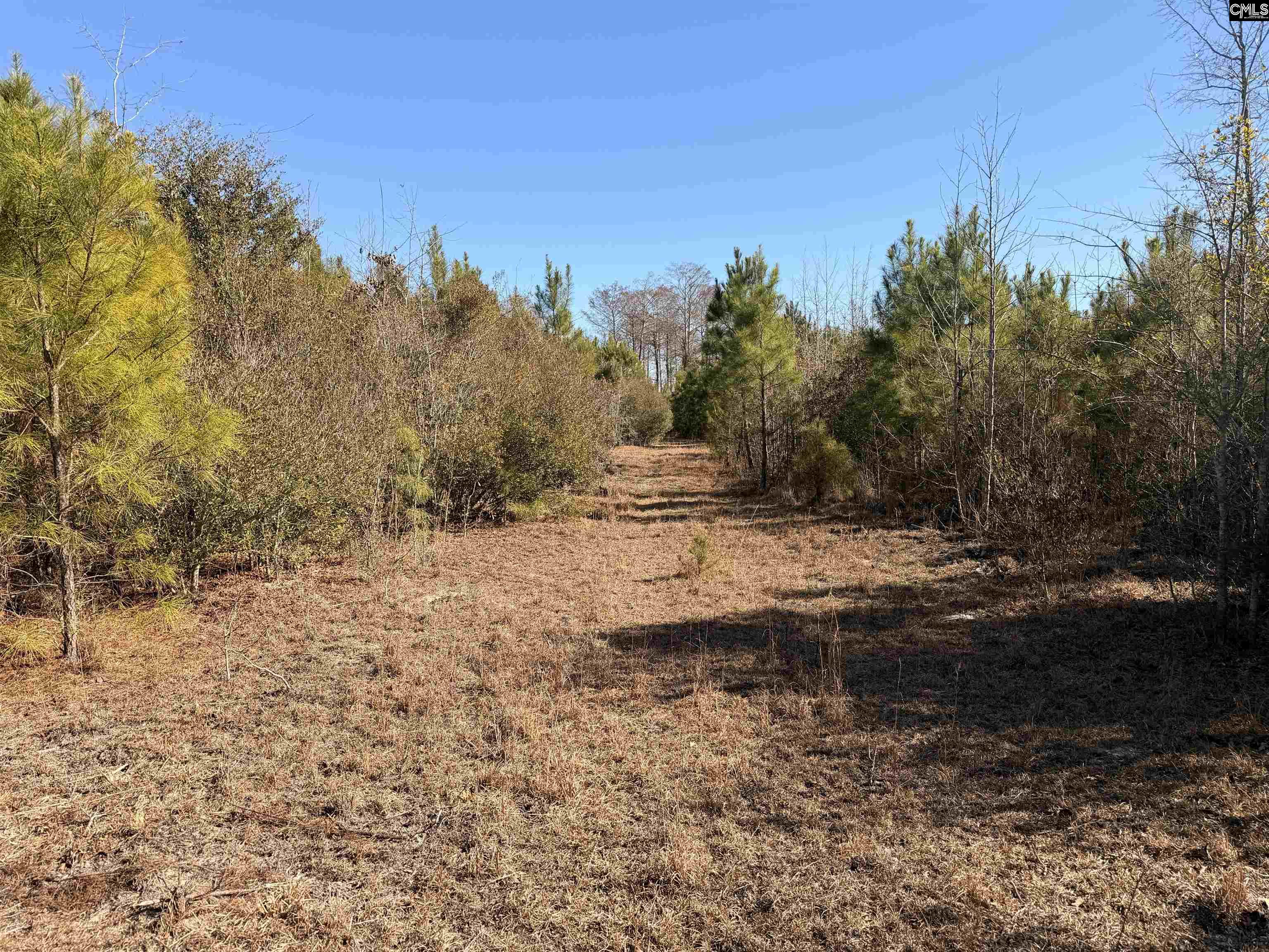 0 Proctor Road Cope, SC 29038 - Photo 11 of 11