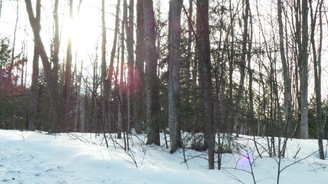 West Martin Lake Road Gaylord, MI 49735 - Photo 3 of 6