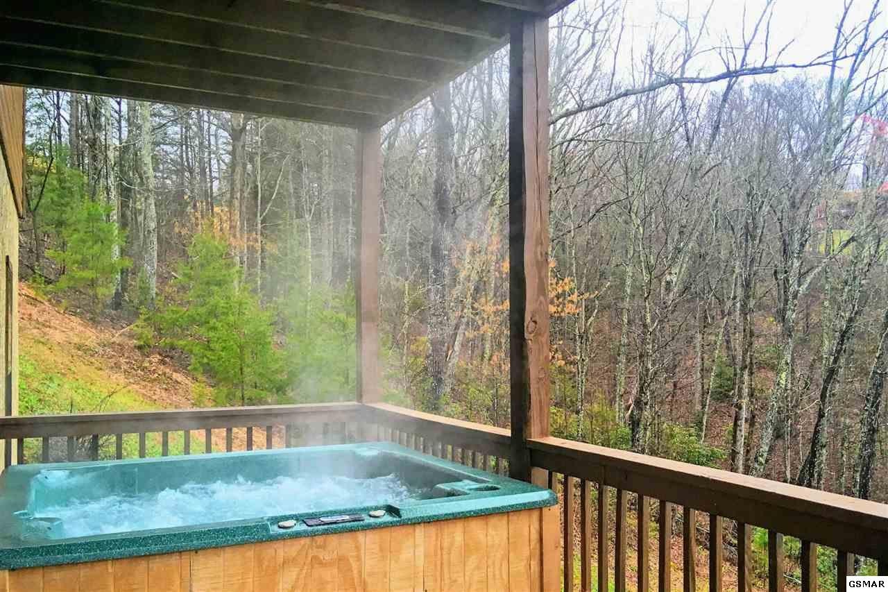 2439 Breezy Road, Unit LECONTELOOKOUT Sevierville, TN 37876 - Photo 28 of 31 Gallery Image 28
