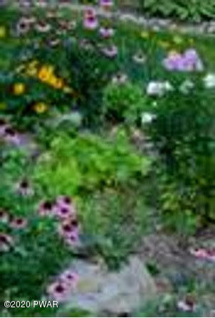 108 Forest Road Dingmans Ferry, PA 18328 - Photo 23 of 26 Garden