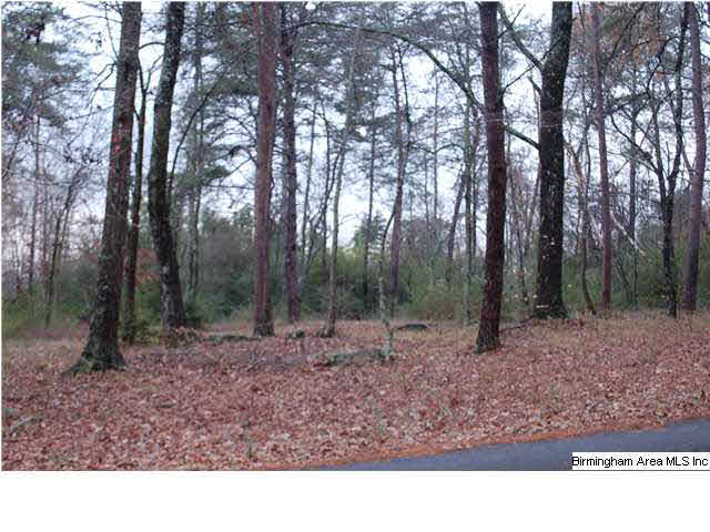 Chalkville Road North Trussville, AL 35173 - Photo 2 of 2