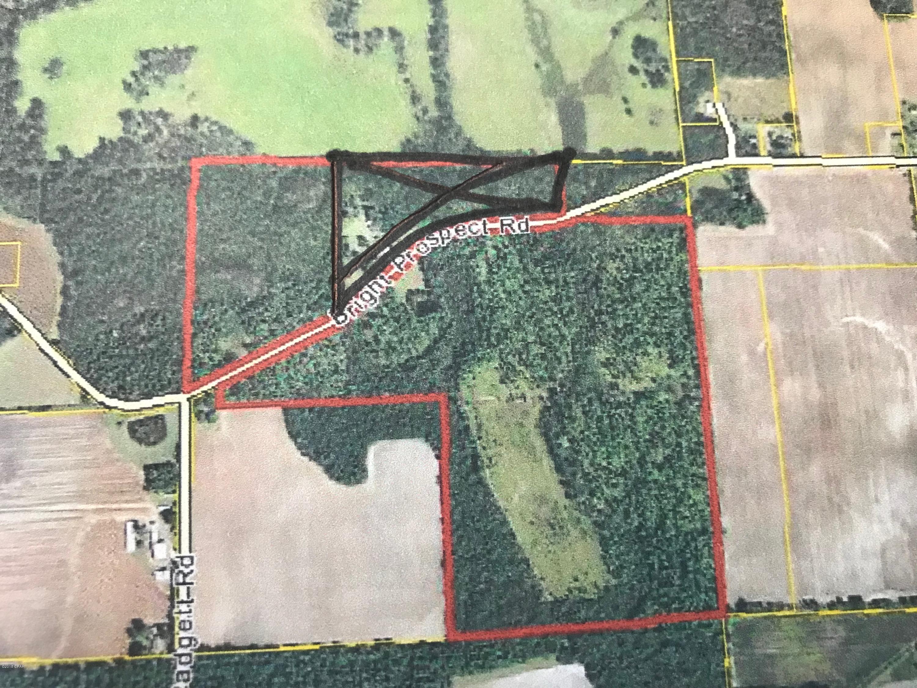 0 Bright Prospect Road Marianna, FL 32448 - Photo 1 of 1 Gallery Image 1