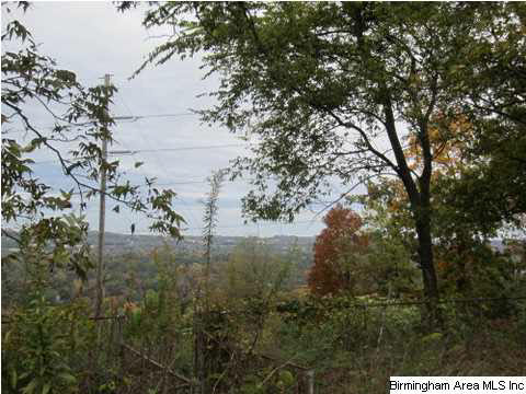 1836 Shades Crest Road Birmingham, AL 35216 - Photo 2 of 2