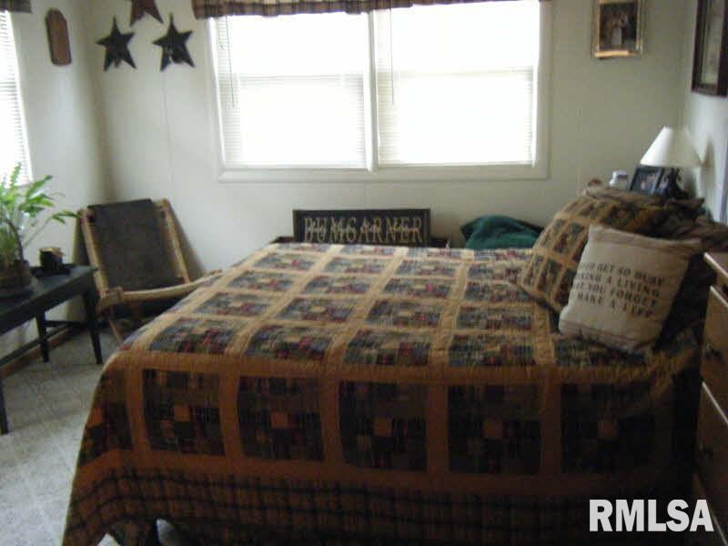 3877 Tonti Road Salem, IL 62881 - Photo 4 of 14