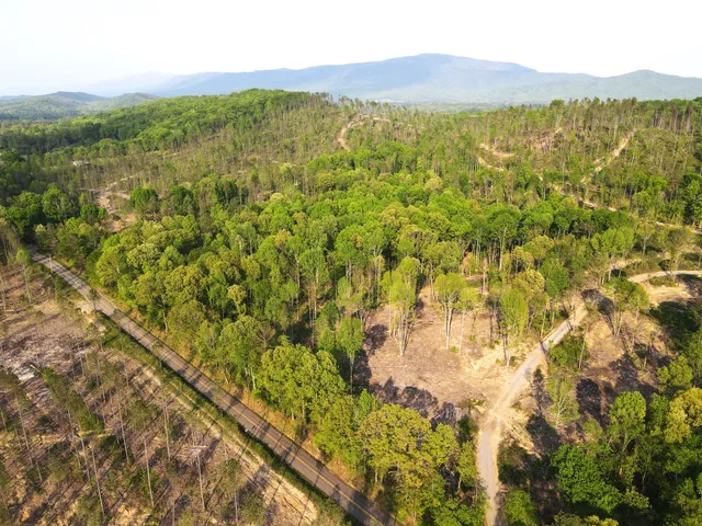 a view of an aerial view of residential houses with outdoor space and trees