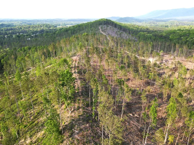 a view of lake with green space