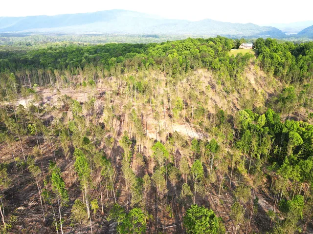 a view of lake with green space