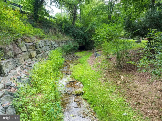 a view of a garden with plants