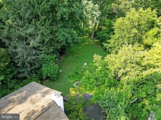 a view of a yard with plants and a small yard