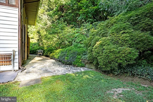 a plant view in yard