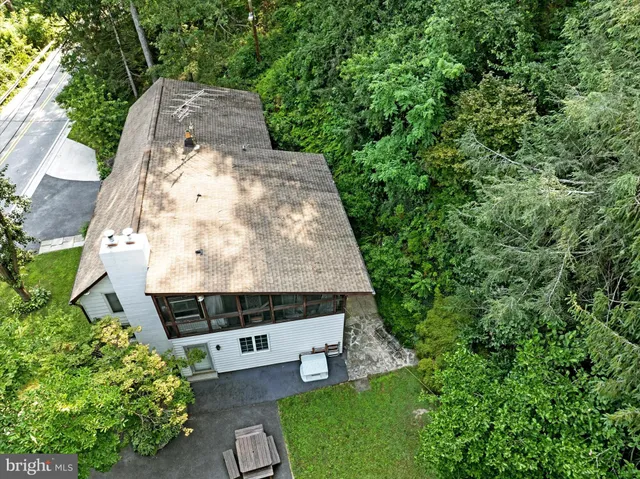 a view of a yard with plants and wooden fence