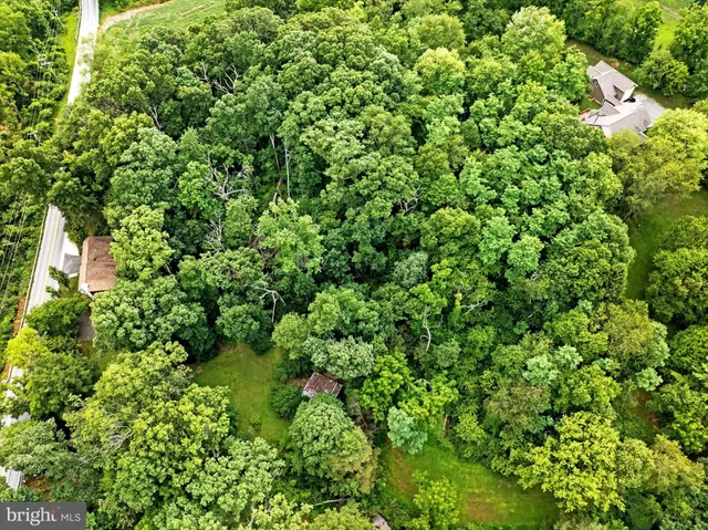 a view of a backyard with large trees