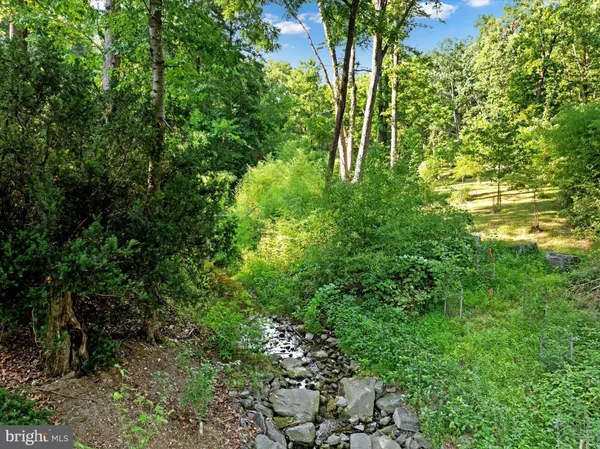 a view of a garden