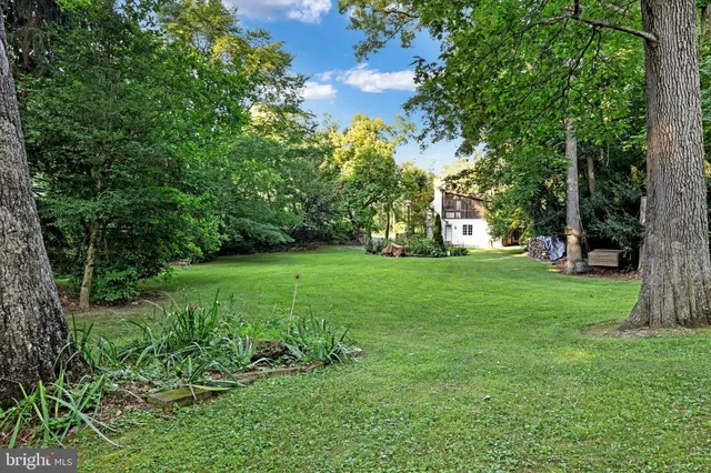 a view of a lush green space