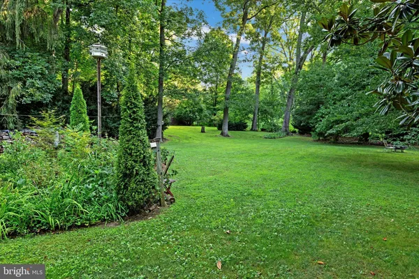a view of a lush green space