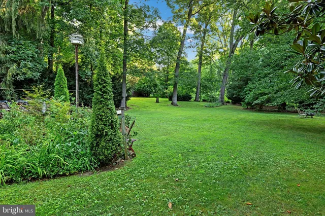 a view of a lush green space
