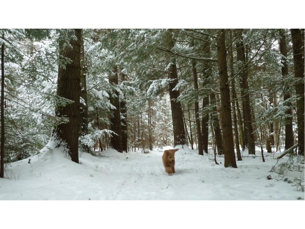 178 Middle Ridge Road Bridgton, ME 04009 - Photo 4 of 24 Photo
