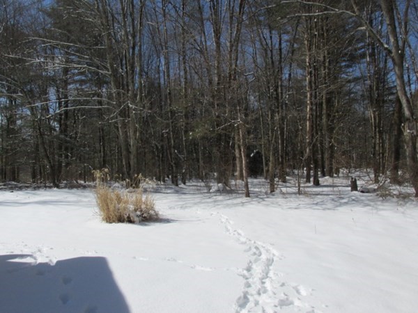 779 Town Farm Road Warren, MA 01083 - Photo 5 of 15 a view of outdoor space and yard