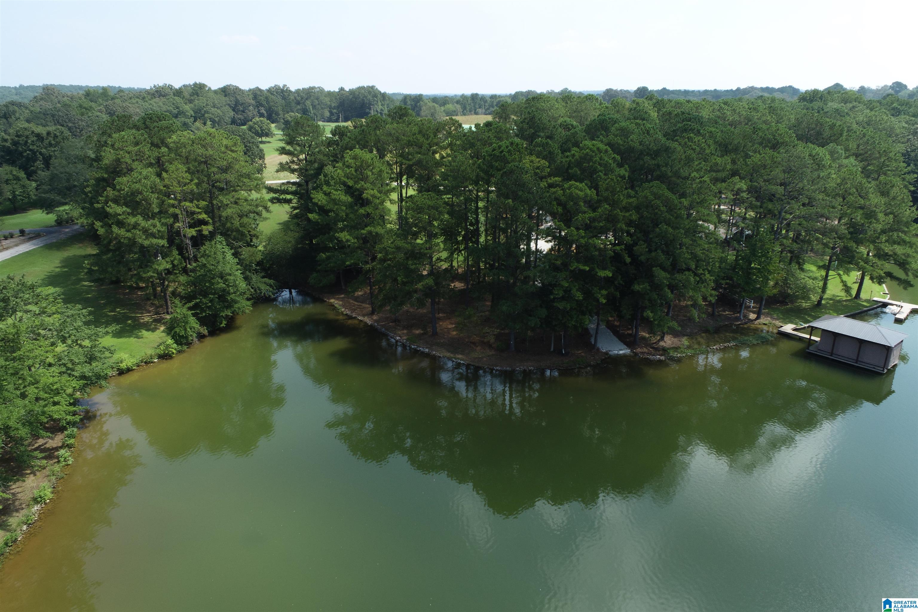 0 Wylie Road Wedowee, AL 36278 - Photo 9 of 10