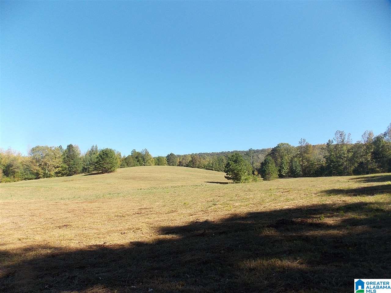 680 Brooks Lane Oneonta, AL 35121 - Photo 25 of 27