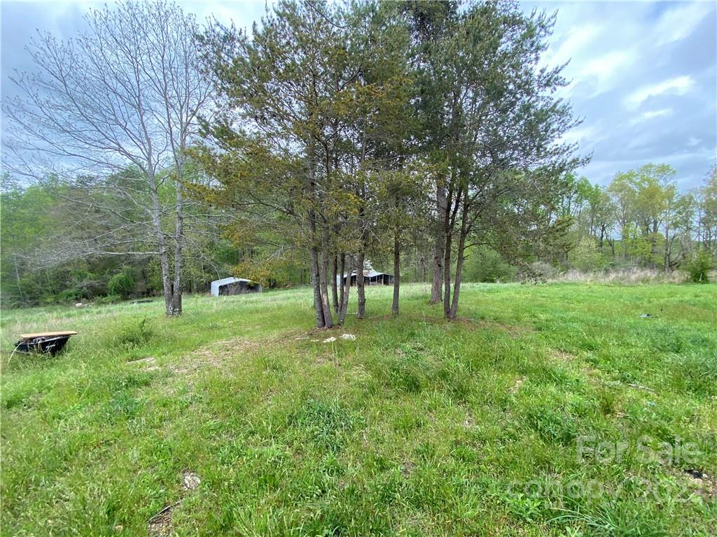 162 Ivester Road Lawndale, NC 28090 - Photo 3 of 16 a view of backyard with trees