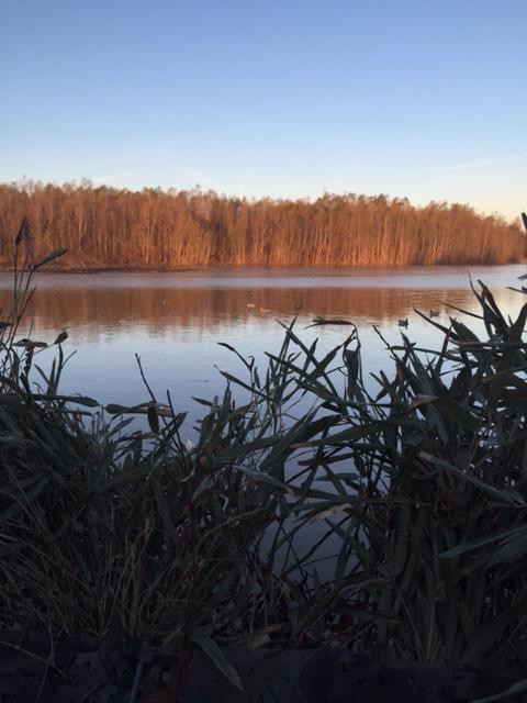1000 Travelers Rest Lorman, MS 39096 - Photo 11 of 56 Photo 11