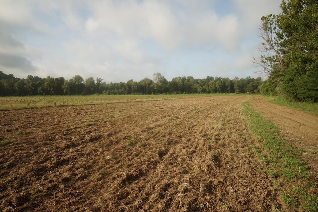 1000 Travelers Rest Lorman, MS 39096 - Photo 24 of 56 Photo 24