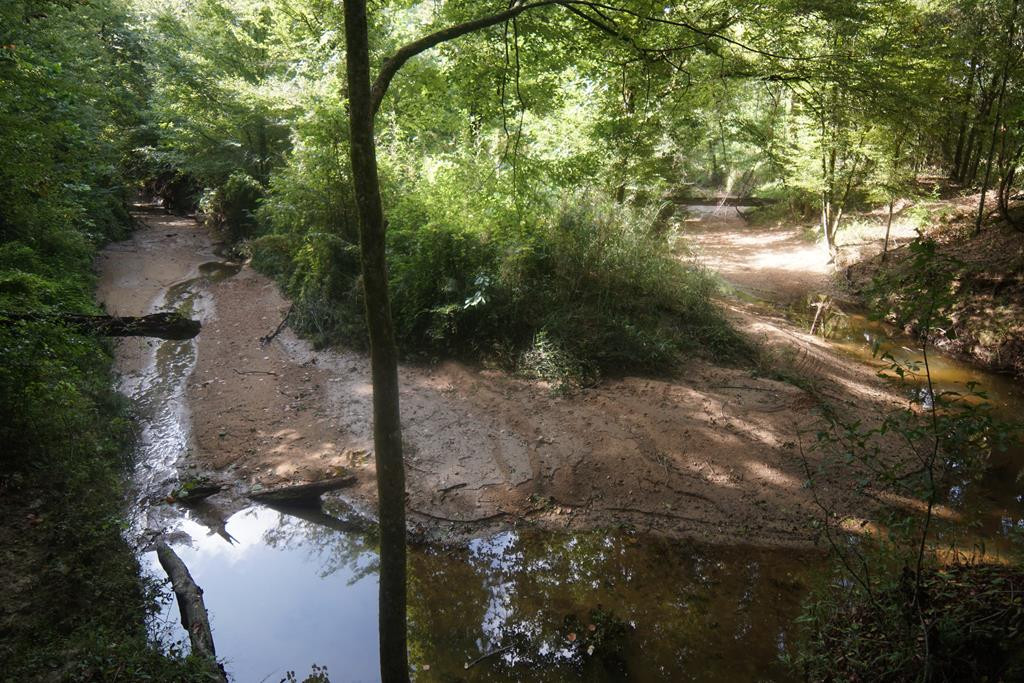 1000 Travelers Rest Lorman, MS 39096 - Photo 25 of 56 Photo 25