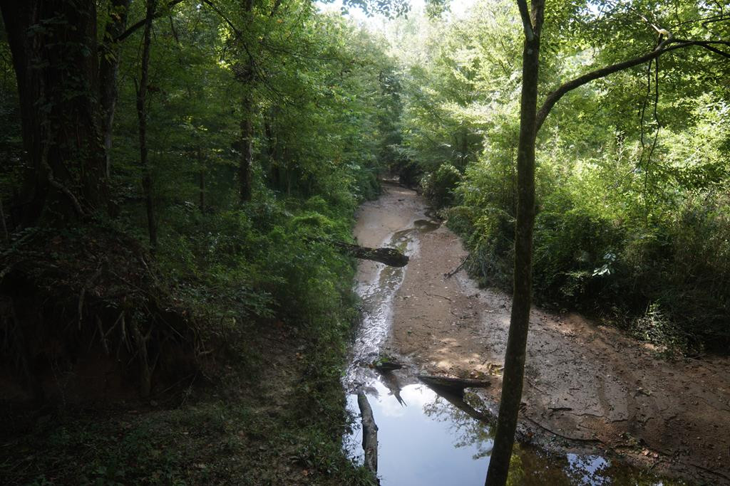 1000 Travelers Rest Lorman, MS 39096 - Photo 26 of 56 Photo 26