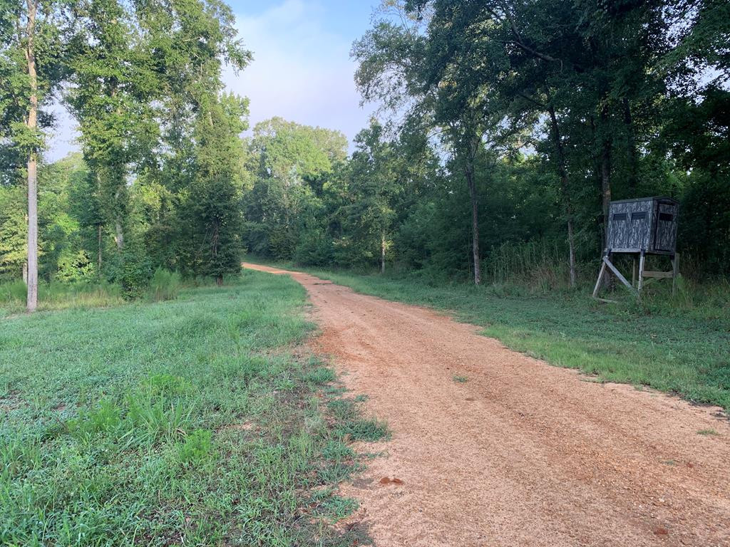 1000 Travelers Rest Lorman, MS 39096 - Photo 28 of 56 Photo 28