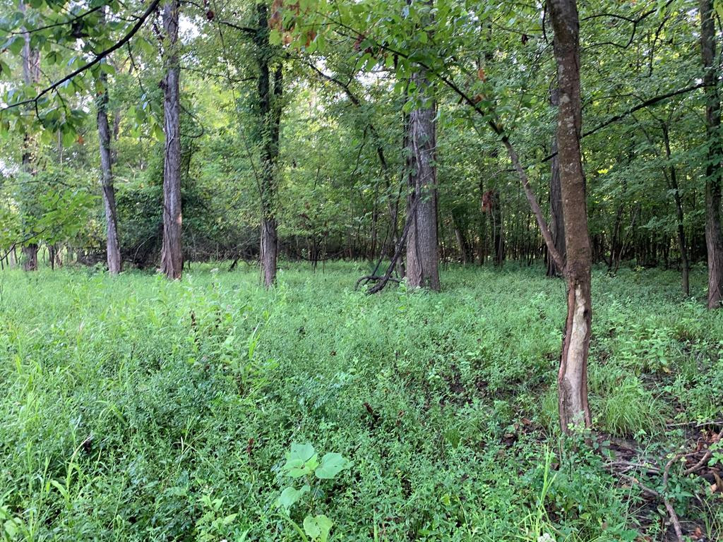 1000 Travelers Rest Lorman, MS 39096 - Photo 31 of 56 Photo 31
