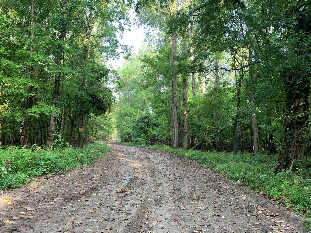 1000 Travelers Rest Lorman, MS 39096 - Photo 32 of 56 Photo 32