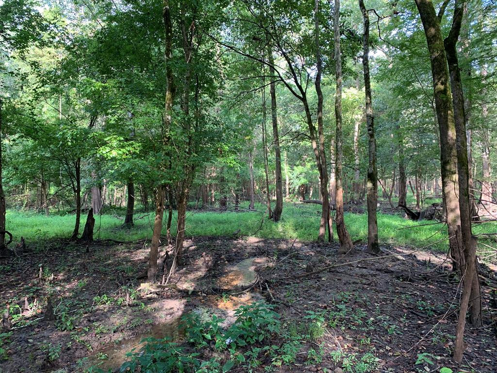 1000 Travelers Rest Lorman, MS 39096 - Photo 34 of 56 Photo 34