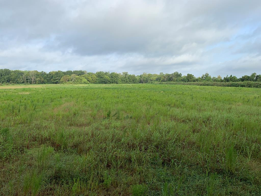 1000 Travelers Rest Lorman, MS 39096 - Photo 43 of 56 Photo 43