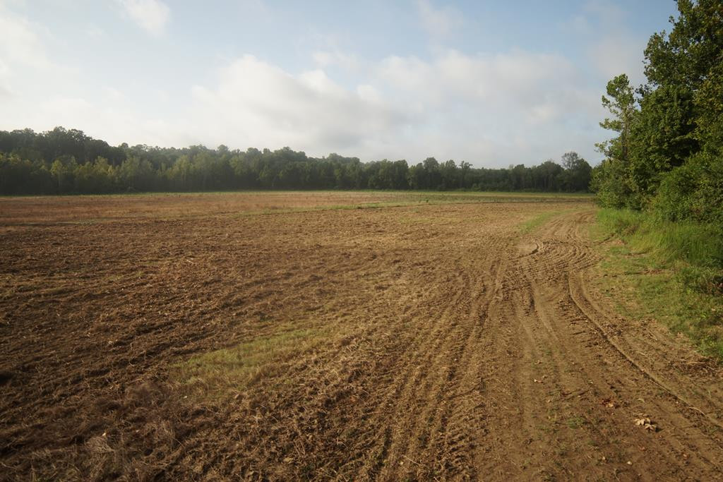 1000 Travelers Rest Lorman, MS 39096 - Photo 44 of 56 Photo 44