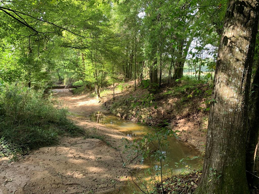 1000 Travelers Rest Lorman, MS 39096 - Photo 56 of 56 Photo 56