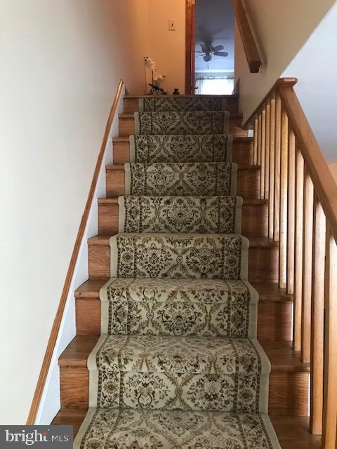 5333 Delmar Road Clifton Heights, PA 19018 - Photo 11 of 31 Steps
