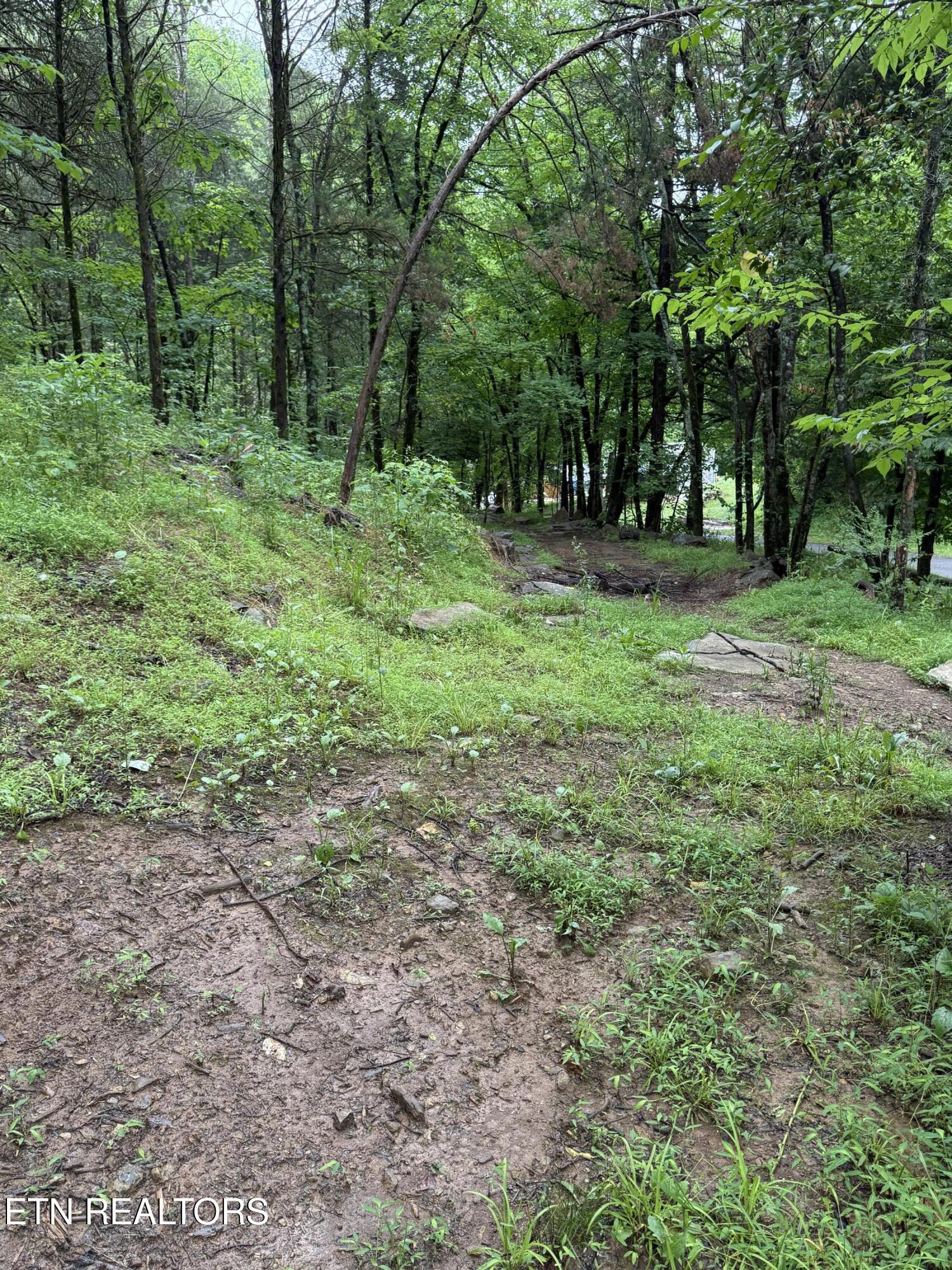 940 Riley Creek Road Whitleyville, TN 38588 - Photo 22 of 30 IMG_6450