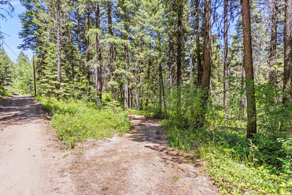 520 Susan Road, Unit 25 Cascade, ID 83611 - Photo 3 of 11 Driveway