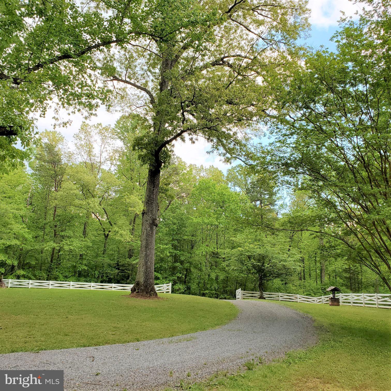 25231 Independence Road Unionville, VA 22567 - Photo 2 of 5 Gallery Image 2