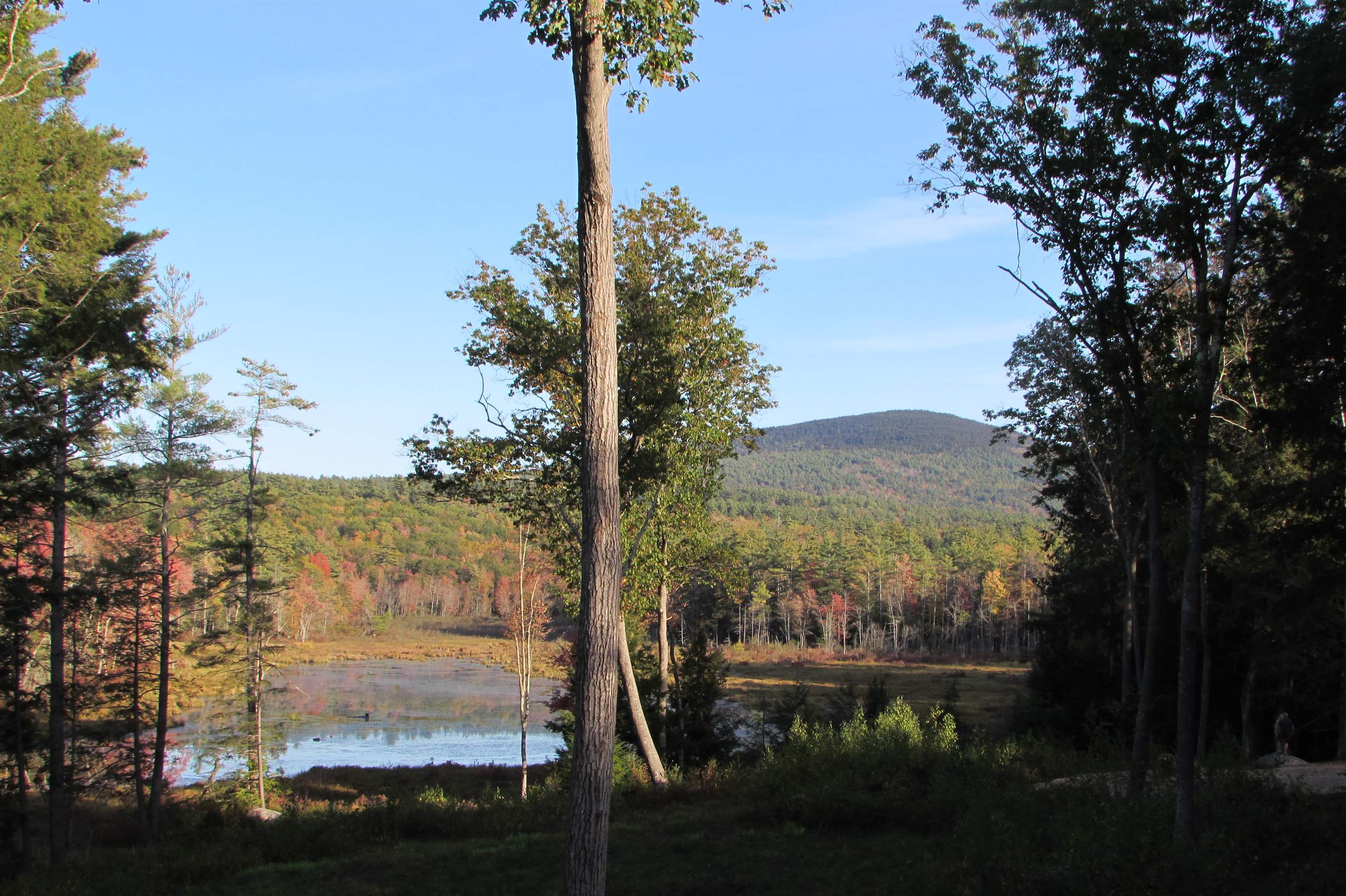 215 Gral. Miller Road Peterborough, NH 03458 - Photo 4 of 58