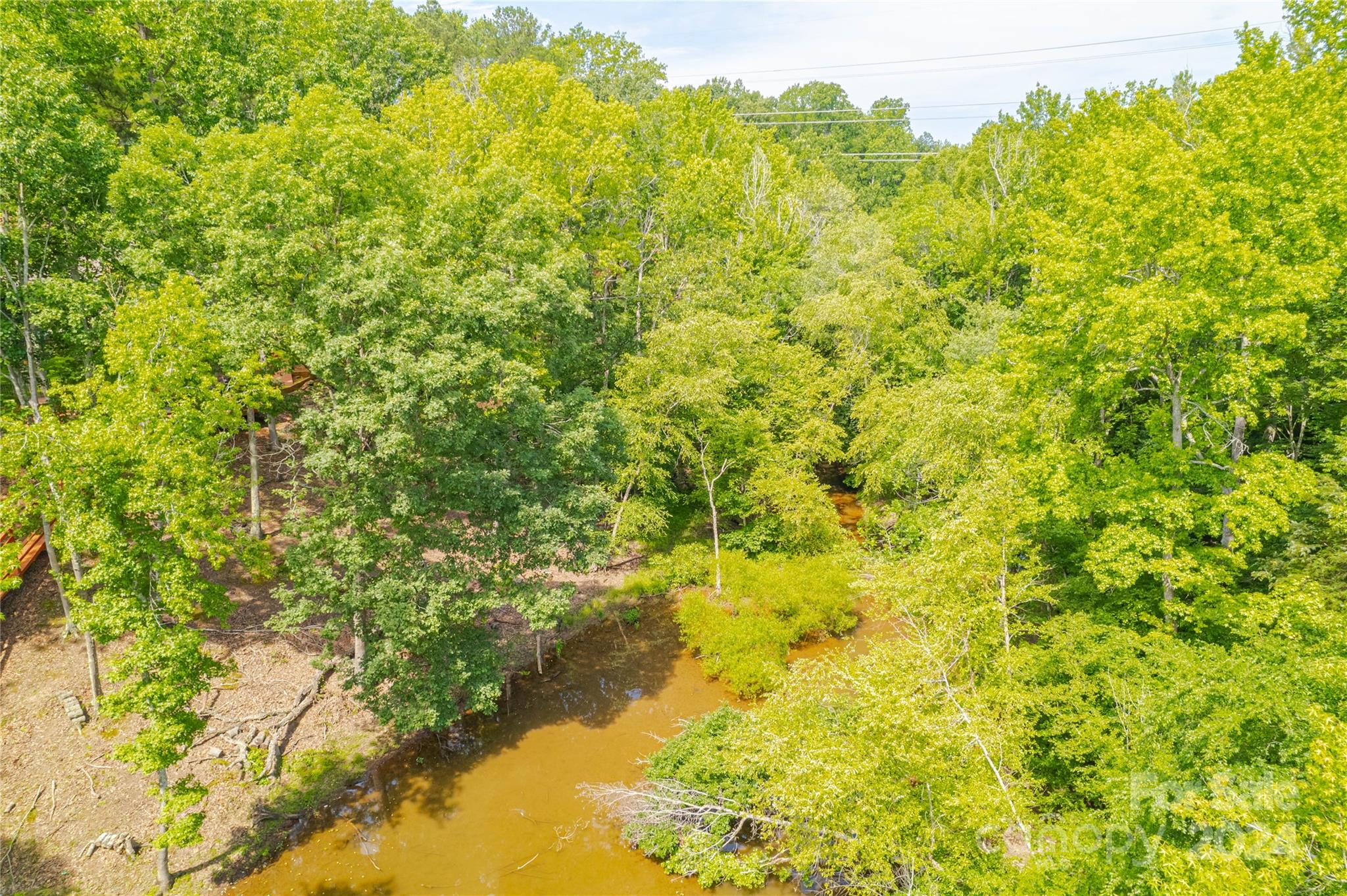 345 Squirrel Lane Clover, SC 29710 - Photo 15 of 21 a view of a yard with plants and large trees